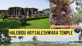 HALEBIDU  HOYSALESHWARA TEMPLE | Hindu and Jain temple🙏🏻| subscribe |