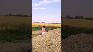 सरिता भौजी उठो अब sarita ji official #shorts #shortsviral #youtubshorts