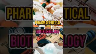 Manufacturing Units in Haryana Part-3 How to Start Export Business from Haryana ?