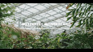 Butterfly Wonderland | Uniquely Scottsdale