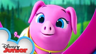 Pearl the Piglet 🐷| Calling All T.O.T.S. | T.O.T.S. | Disney Junior