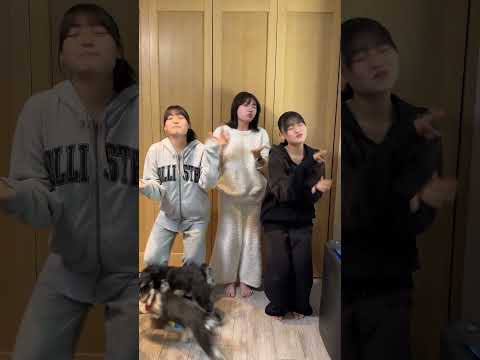 【キムタクチャレンジ】3姉妹でTikTokで流行ってる「FRUITS ZIPPERのかがみ × SMAPのSHAKE」を踊ってみた！【即興ダンス】#Shorts