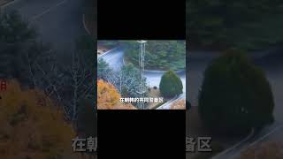 朝鮮士兵吳青成，駕車叛逃韓國真實影像，被攝像頭全程記錄 #春秋錄 #大案紀實錄 #案件調查 #懸案密碼 #懸案破解