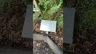藍山煤炭坑