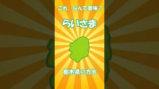 栃木の方言　「らいさま」  方言クイズ　#栃木 #方言 #クイズ