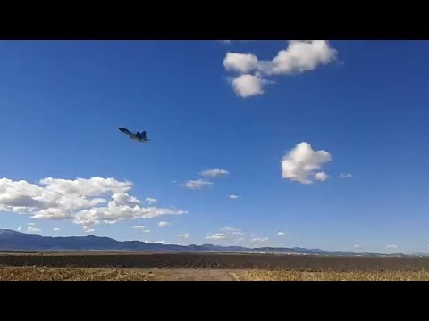 Homemade rc F22