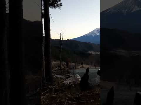 富士山