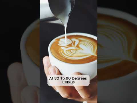 McDonald's French Fries Mega Factory: How Millions of coffees Are Perfected with Cutting-Edge tech