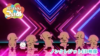 「貼りまわれ！こいぬ」ノンクレジットED映像【2024年1月6日(土)より放送開始】