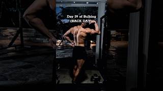 Day 39 of Bulking (BACK) #bulk #bulking #youtubeshorts #bulkingjourney #gymreels #fyp #day39 ##gains
