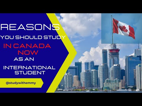 How to Overcome the Challenges of Studying in Canada as an International Student