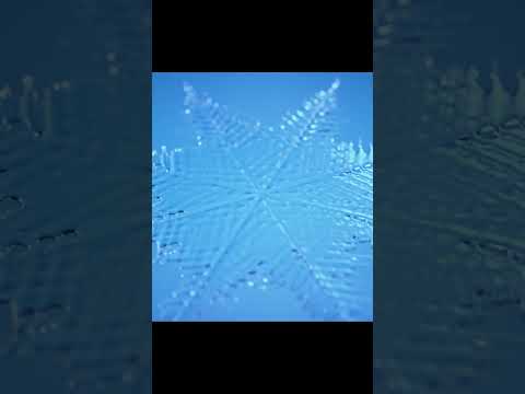 هل تعلم أن الماء يملك ذاكرة؟