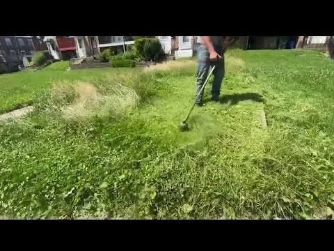 I couldn’t BELIEVE the last time this grass has EVER got cut and I cut for FREE!!