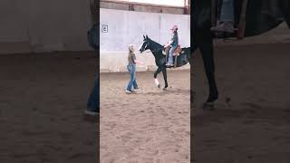 Riding the race horse 🏇#instagood #equestrianjourney #equestrian