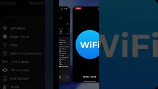 WiFi Tools: Network Statistics (Netstat) on iPhone/iPad