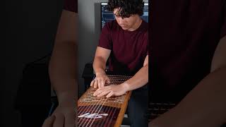 A fretless harpejji???