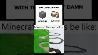 Minecraft meme