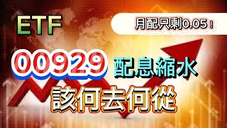 【ETF 復華台灣科技優息 00929】股息一直縮水怎麼辦?  該不該下船呢？