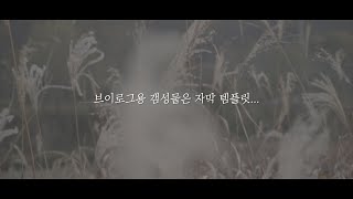 스윽 나타나는 브이로그 감성 자막템플릿 만드는법 배우고 무료 다운로드 2018, 2019, 2020