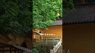 真正的修行是修心
