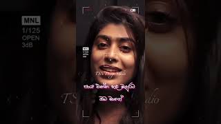 කුමුදුලියේ..KUMUDULIYE - Cover 💖🍃🎵 #status #lyrics #cover   @TSNDesignStudio