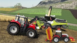 STEYR Mini Tractor and Massey Ferguson with front Loader | Loading grass & grain with Tractor Bucket