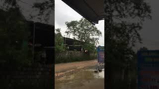 Mk can ban cay oi nay ai co nhu cau thi liên hệ mk nha 0981266748