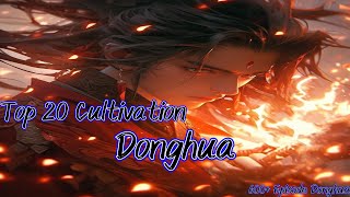 Top 20 Best  Cultivation Donghua  of 2025 (Recommendation)