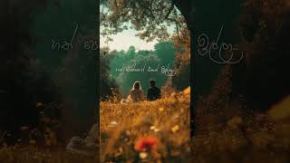 හත් පෙත්තෙන් එකක් ඉල්ලා Edit By Feelin Music HM |  #videoedit #status #whatsappstatus #love #viral