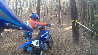 FILE0911 pirf
