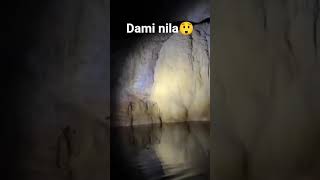 Naiibang hayop s loob Ng kweba #viralvideo #travel #viralplace#mountains#viralvideos  #viralposts