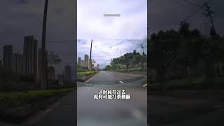 老司机都不一定知道的走灰不走白，见黑停下来#驾驶技巧 #高速行车安全 #汽车知识