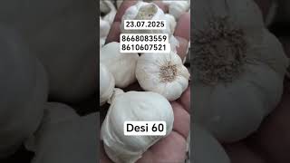 #garlic #garlicbusiness #garlicwholesale #businessidea #businesstamil #businessinfo