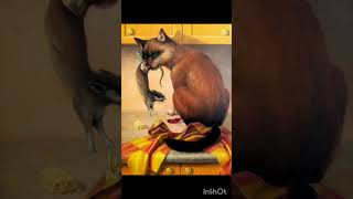 Optical illusions #shortvideo #viral #mrhacker esport