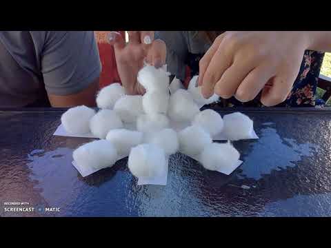 Snowflake Craft