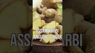 How to start Import Export Business from Assam? | Import Export Business |by Harsh Dhawan