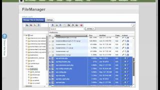 manual backup of wordpress files and database via ipage
