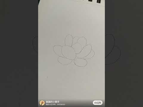 手绘彩铅｜粉色的可爱小多肉