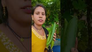 Dekh Lo Varna pachtaoge#1kcreator #fouryourpag #fouryou #farmingsystem