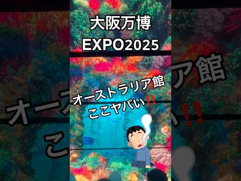 【大阪万博EXPO2025夢洲】海外パビリオンで最強におすすめ！オーストラリア！屋内が森？圧倒的映像没入感！#shorts#万博#EXPO#夢洲#絵画パビリオン#オーストラリア#大阪万博2025