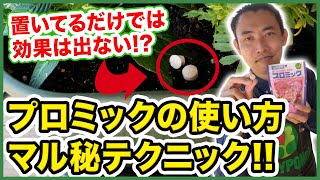 [Gardening Basics] Introducing the key points of using Promix ~ Just leaving it there is not enou...
