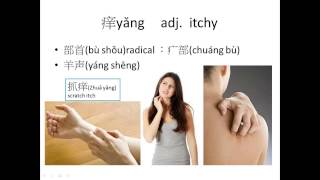 Integrated Chinee_level1_L15 D2 感冒.生病.痒.过敏.药店