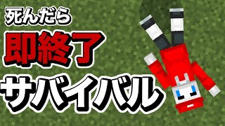 死んだら即終了サバイバル！【マインクラフト】【まいくら】