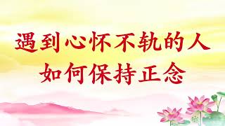 卢台长【遇到心怀不轨的人 如何保持正念】