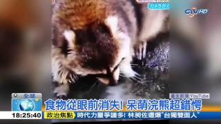 棉花糖泡水溶光光，浣熊傻眼好錯愕76B3660B 1050106182114B4 4043 9EFF E313E9C98FA4