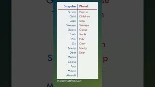 Irregular plural nouns