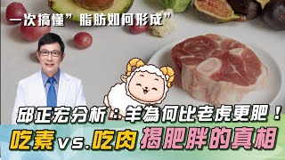「吃素」比吃肉更肥？減重醫邱正宏分析：「脂肪形成」背後成因！9成人都復胖！醫曝：３件事是「不復胖」關鍵！｜祝你健康