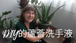 自製蘆薈洗手液