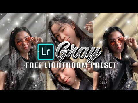 Lightroom Mobile Presets Free DNG | GRAY | TIN MIRANDILLA