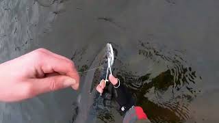 Careysville Fishery